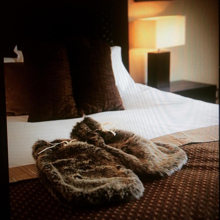 Home Lodgeゴールデン エクステリア 写真